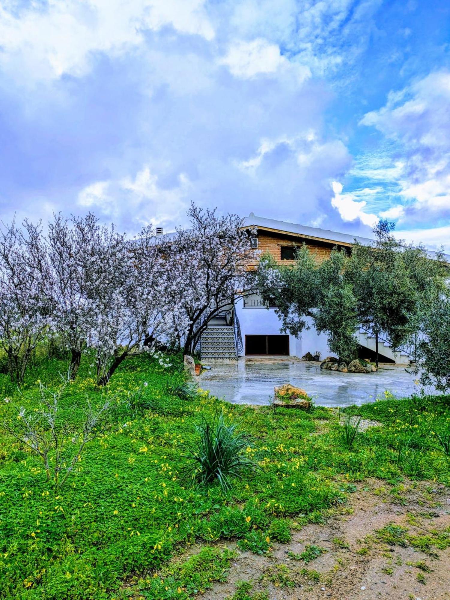 Agriturismo "Pirastreri" Siniscola Exterior foto